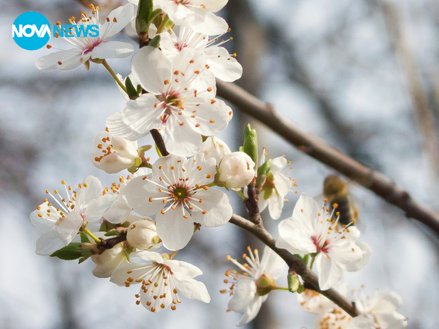 Пролет идва...