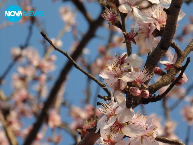 Пролетта дойде в България