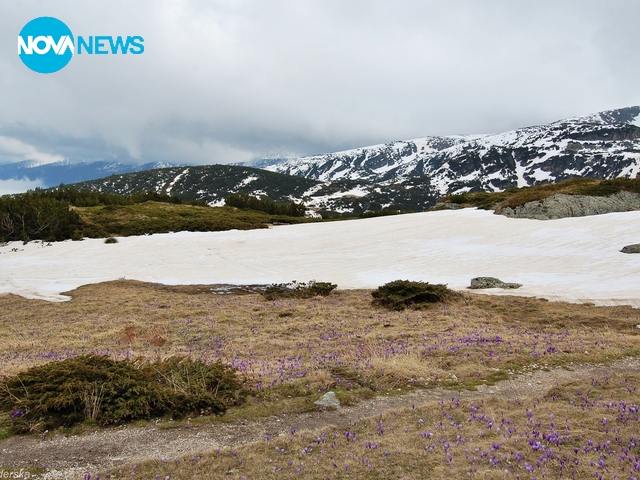 Рила планина през май