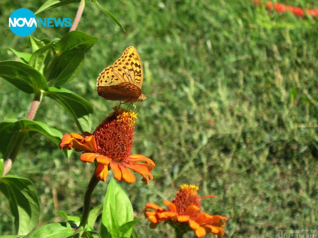 Настроение