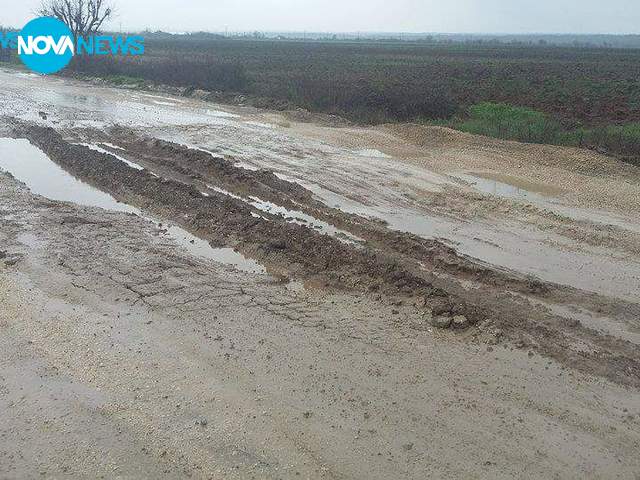 Пътят между с. Ружинци и град Лом