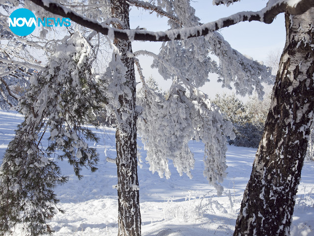 Зимата се завърна