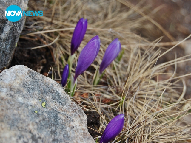 Красота в Рила планина