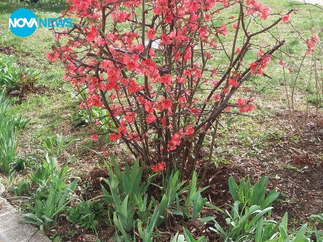 Подранила пролет!