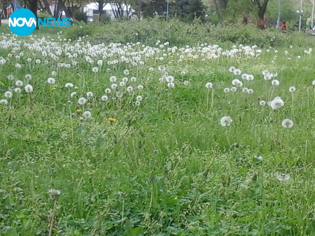 Пролет в Пловдив