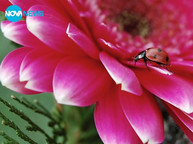 Пролетта всичко се събужда