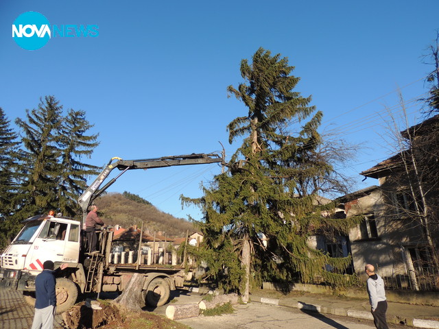 Последици от бурята- Берковица