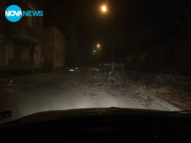 Клони на пътя