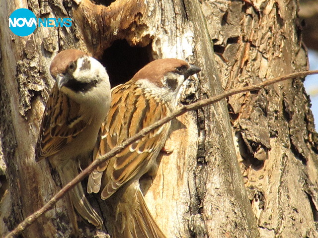 Слънчеви размисли