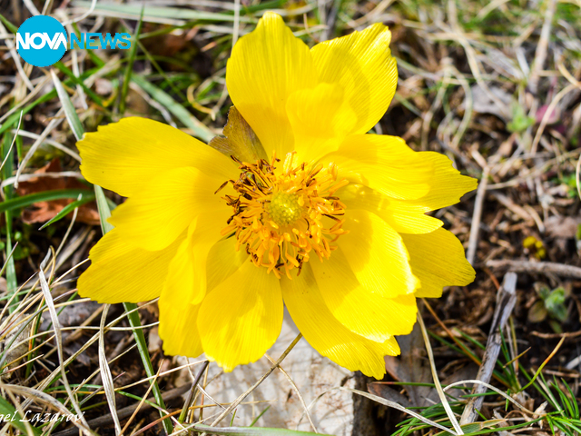 Снимка за прогнозата