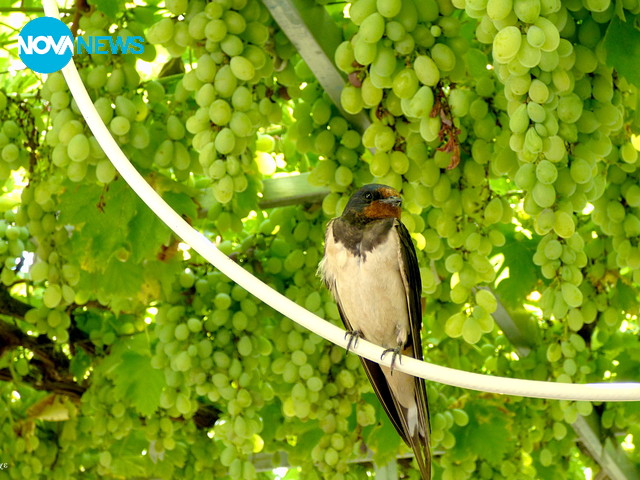 Среща на отиващото си лято с идващата есен
