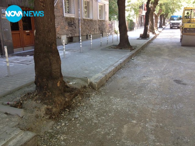 Изливат цимент върху живи дървета и крадат бордюри