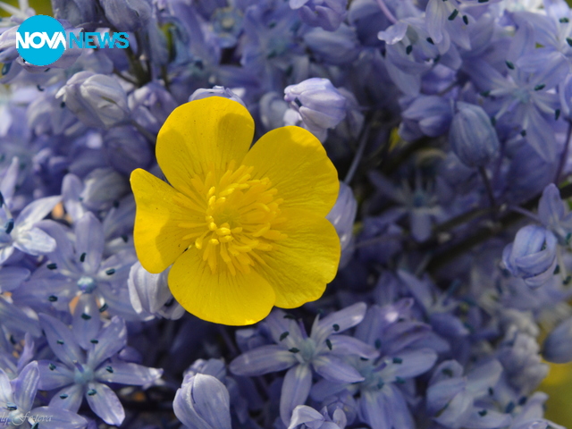 Пролетно настроение