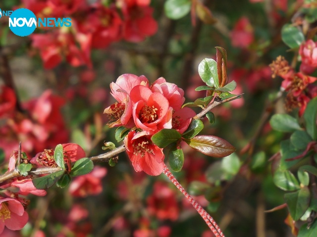 За прогнозата на времето