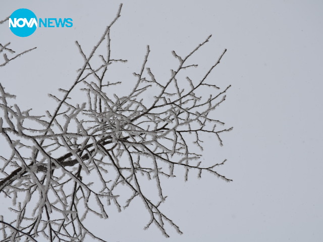 Мразовита утрин в София