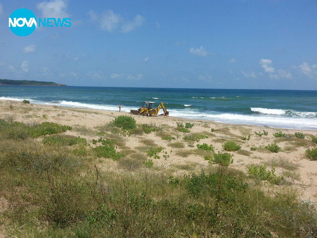 Преместване на умрял делфин