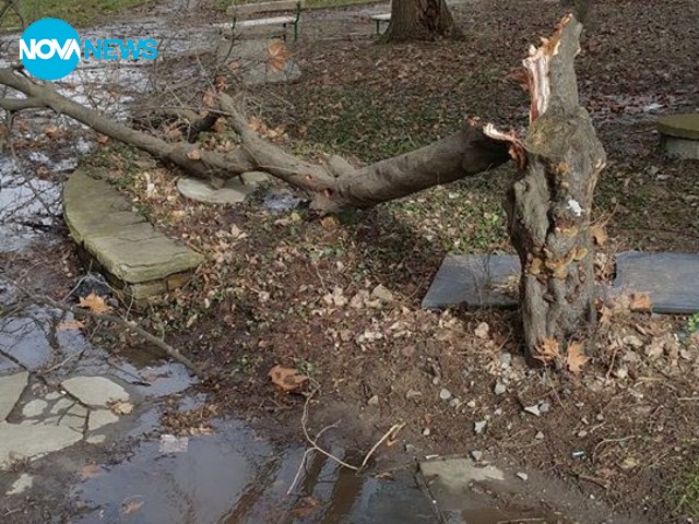 Поражения от бурята в Бургас