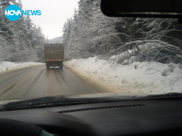 Покана за разходка към кмета на Плевен