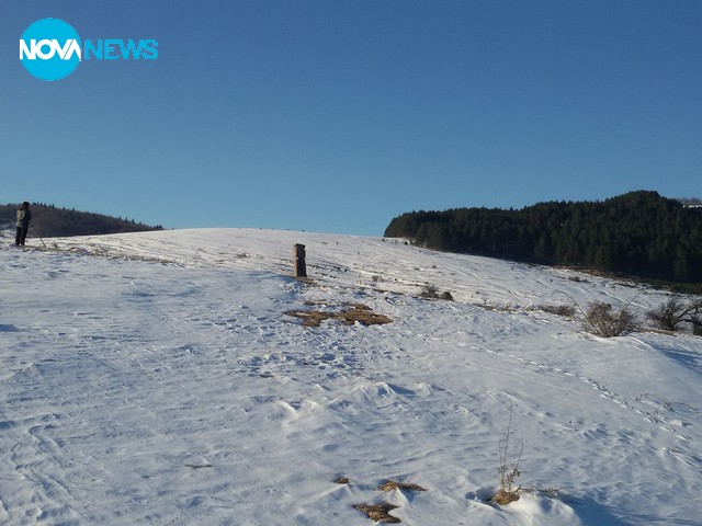 Продължаваща сеч в Стара планина - Козница