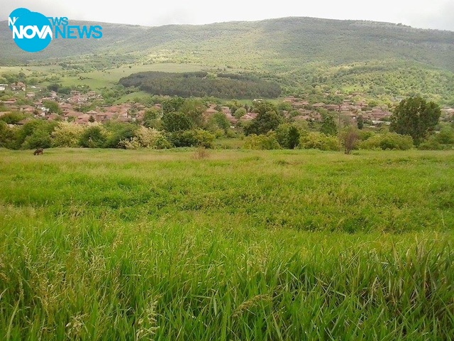 Пъстрина планина