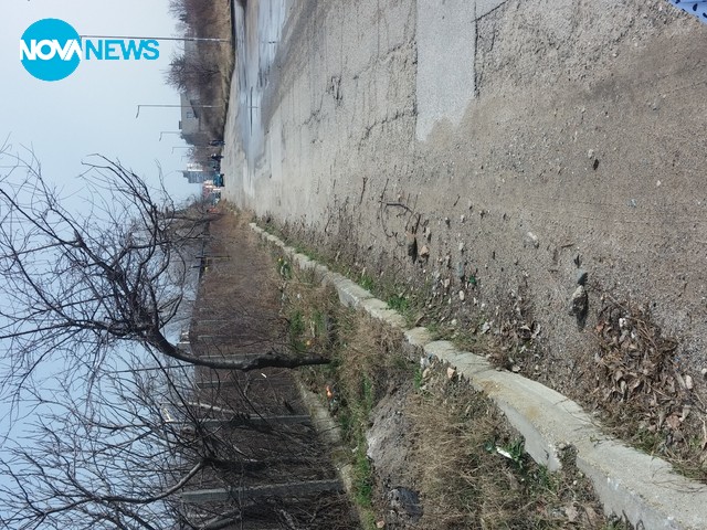 Горско кътче в града