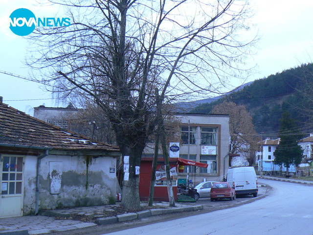 Хубави липи с. Искрец