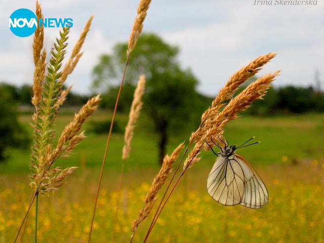 За прогнозата за времето
