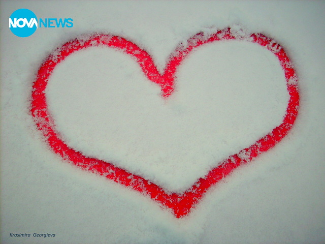 Всичко е любов