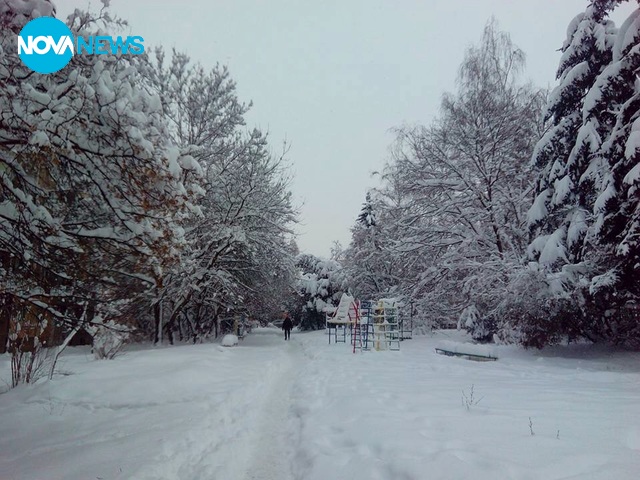 Снежна приказка