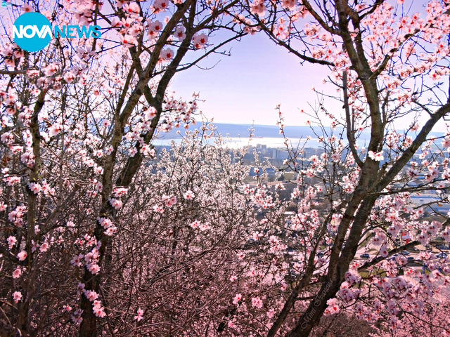 Пролетни снимки