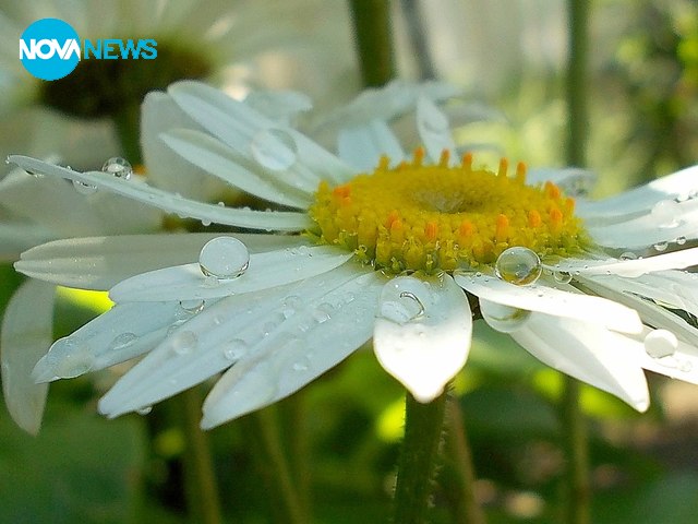 За прогнозата на времето
