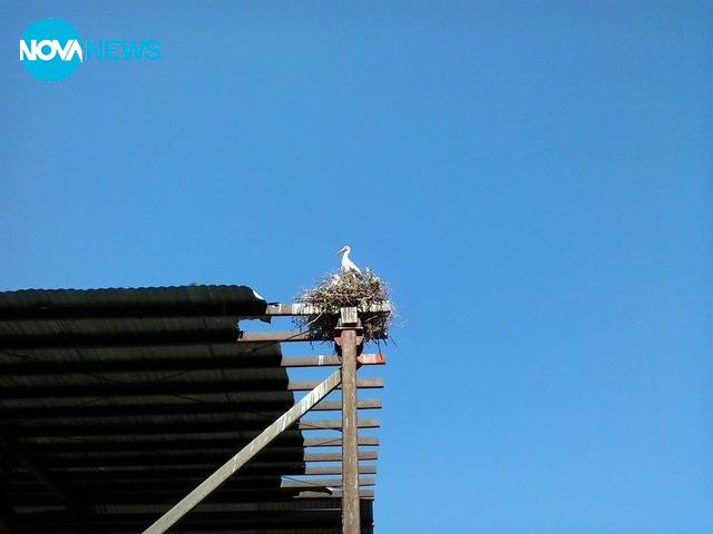 Перчим се на хладното време!