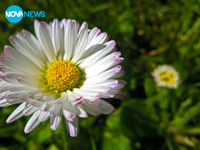 Снимка за времето