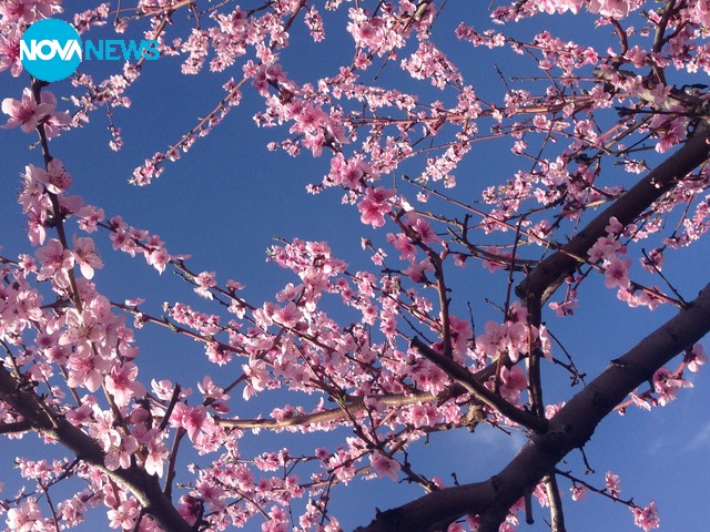 Красив 1-ви април