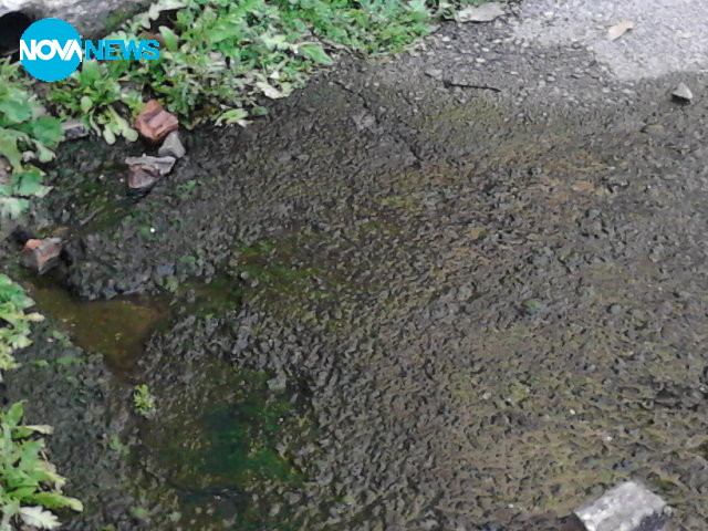 Състоянието на един училищен двор