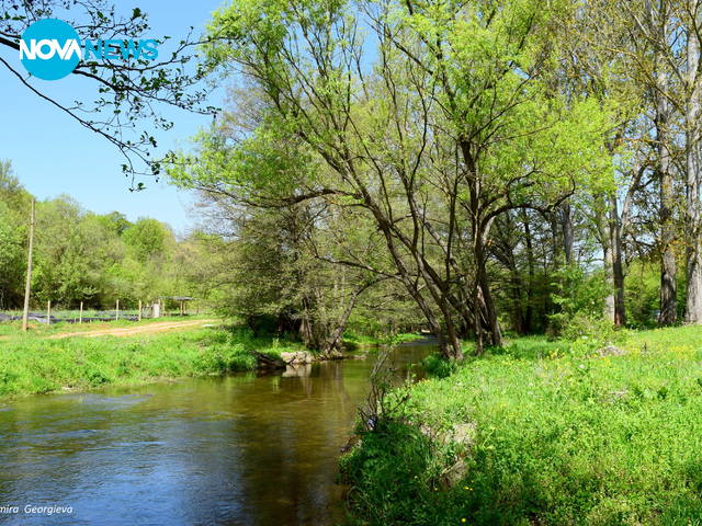 Средногорска пролет