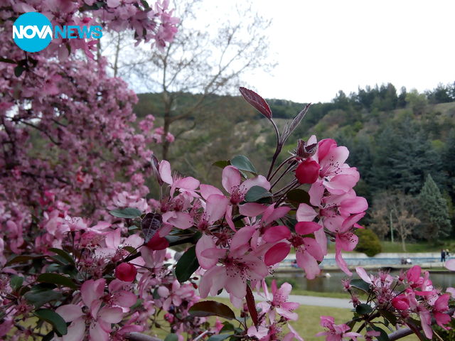 Пролет в Сандански