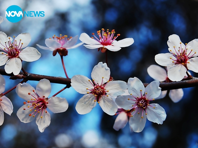 За прогнозата за времето