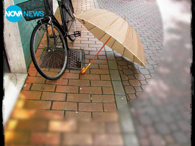 Звездички в локвите