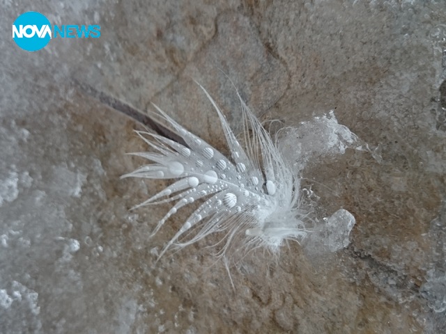 Красота, създадена от природата