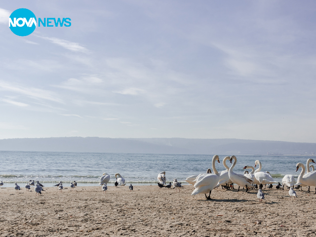 С пожелание за много любов