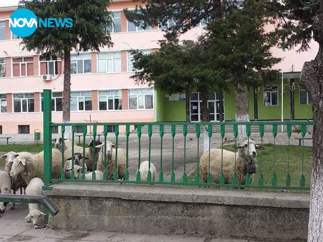 Новите ни ученици