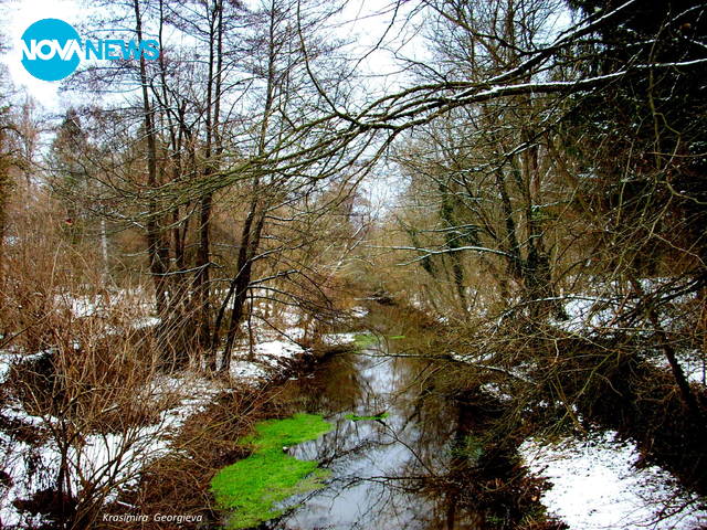 Река Сазлийка през зимата