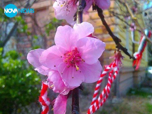 Честита Баба Марта !