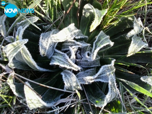 Скрежно бяла утрин днес!