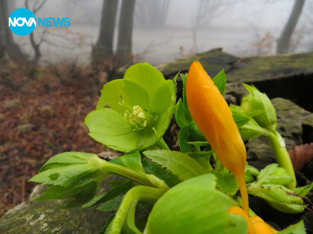 Пролет в Балкана!