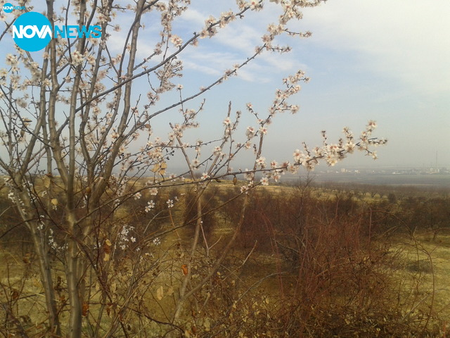 Пролет по никое време в Пловдив
