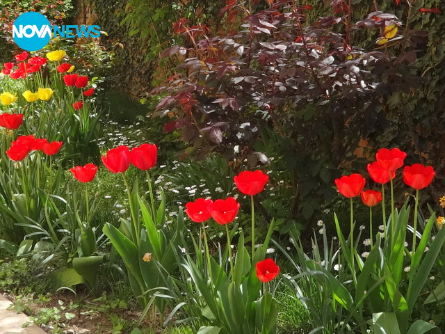 Пролетно настроение от Сливен