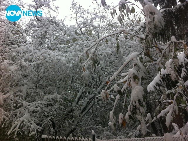 Зимна приказка