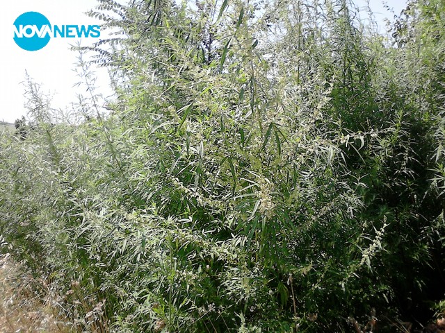 Безхаберието на една държава